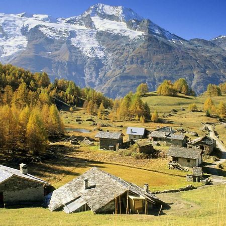 Apartament Arpege Des Neiges Sainte-Foy-Tarentaise Zewnętrze zdjęcie