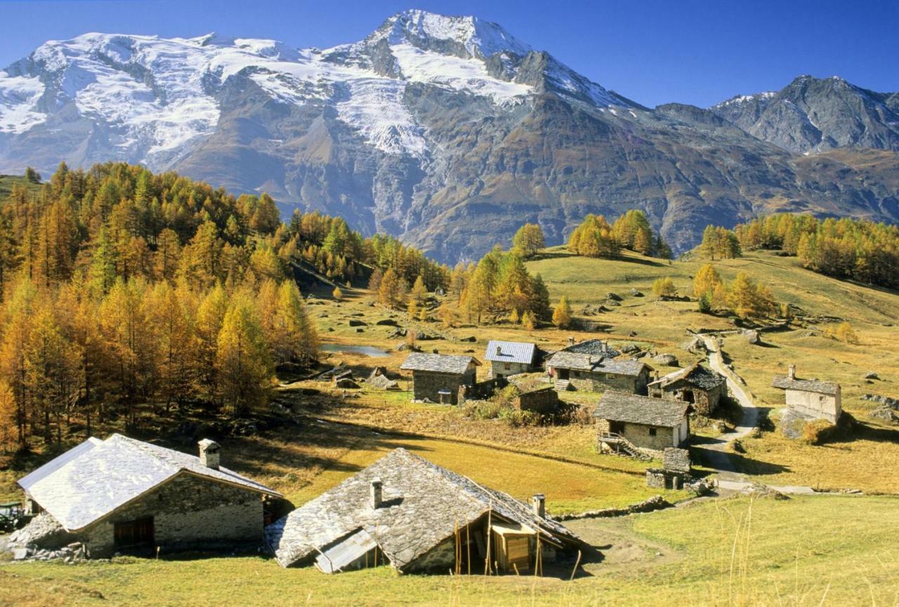 Apartament Arpege Des Neiges Sainte-Foy-Tarentaise Zewnętrze zdjęcie